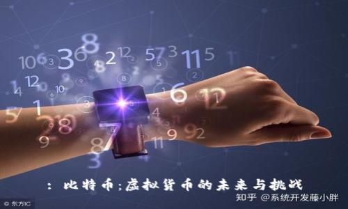 : 比特币：虚拟货币的未来与挑战