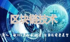 深入了解TUR虚拟币：投资、交易及前景展望