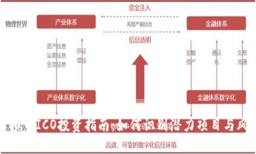 虚拟币ICO投资指南：如何识别潜力项目与风险