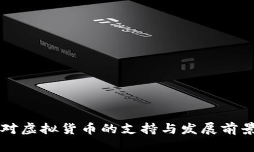 荷兰对虚拟货币的支持与发展前景分析