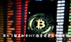 深入了解虚拟币SCY：投资前景与市场分析