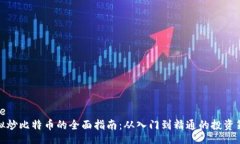 code虚拟炒比特币的全面指南：从入门到精通的投