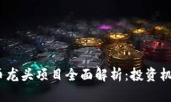 2023年虚拟币龙头项目全面解析：投资机会与市场