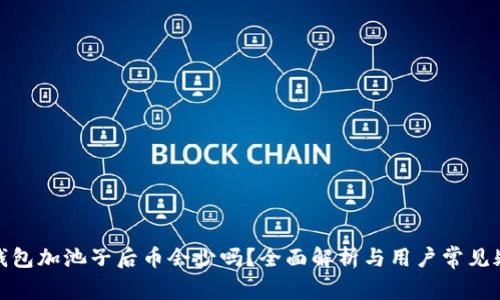 tp钱包加池子后币会少吗？全面解析与用户常见疑问