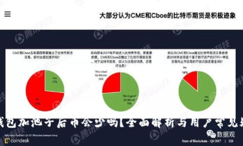 tp钱包加池子后币会少吗？全面解析与用户常见疑问