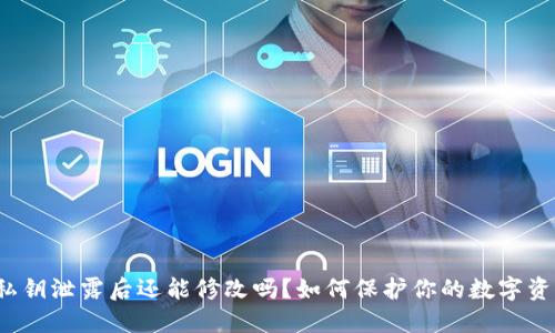 TP钱包私钥泄露后还能修改吗？如何保护你的数字资产安全？