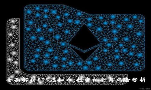 全面解析EIS虚拟币：投资机会与风险分析
