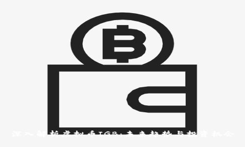 深入解析虚拟币IGB：未来趋势与投资机会