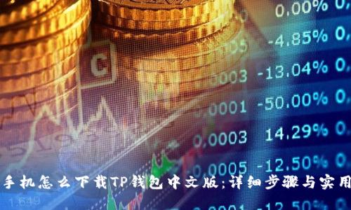 苹果手机怎么下载TP钱包中文版：详细步骤与实用技巧