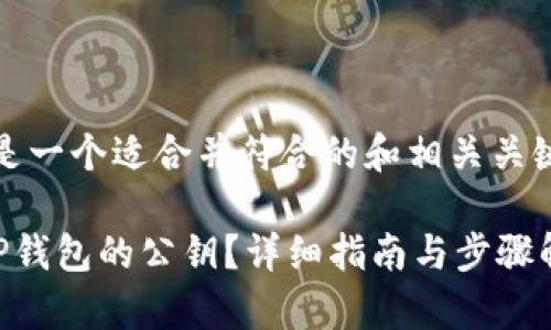 好的，这里是一个适合并符合的和相关关键词的示例：

如何找到TP钱包的公钥？详细指南与步骤解析
