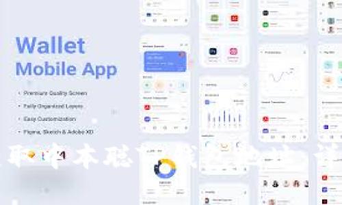 如何获取中本聪TP钱包地址：详细指南