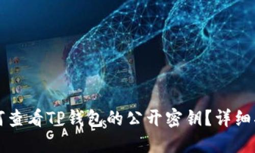 如何查看TP钱包的公开密钥？详细指南