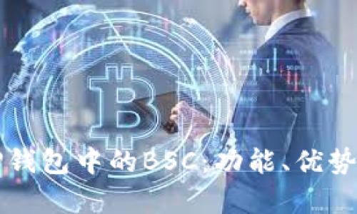 深入解析TP钱包中的BSC：功能、优势与使用技巧