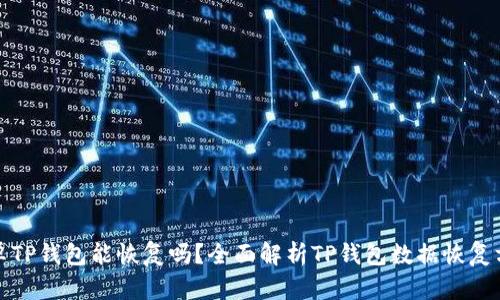安卓TP钱包能恢复吗？全面解析TP钱包数据恢复方法