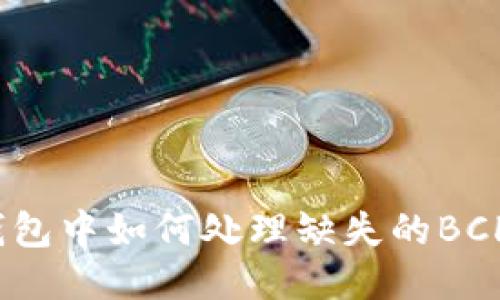 TP钱包中如何处理缺失的BCH币？