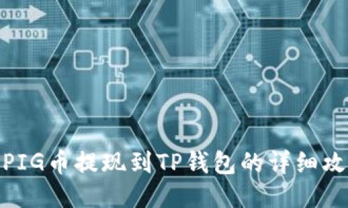 : PIG币提现到TP钱包的详细攻略