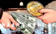 虚拟币的未来几年：投资机会与风险分析