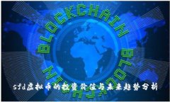 sfd虚拟币的投资价值与未来趋势分析