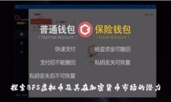 探索BFS虚拟币及其在加密货币市场的潜力