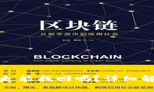 TP钱包币被转走能找回吗？详细解答与解决方案