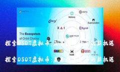 探索DSDT虚拟币：未来数字货币的新机遇探索DSD