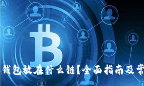 :
FIL币存T P钱包放在什么链？全面指南及常见问题解析