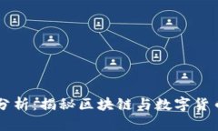 虚拟币程序分析：揭秘区块链与数字货币的背后