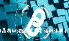虚拟币最新骗局揭秘：投资者需警惕的诈骗手段
