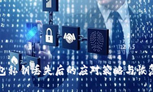 TP钱包私钥丢失后的应对策略与恢复指南