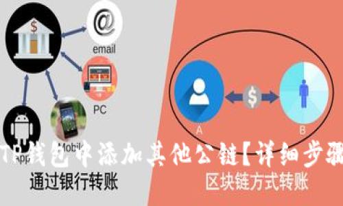如何在TP钱包中添加其他公链？详细步骤与指南