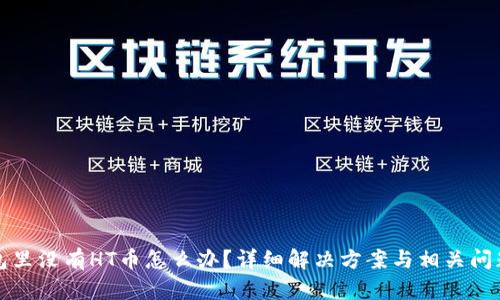 TP钱包里没有HT币怎么办？详细解决方案与相关问题解析