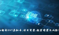 全面解析RNT虚拟币：项目背景、投资前景及风险