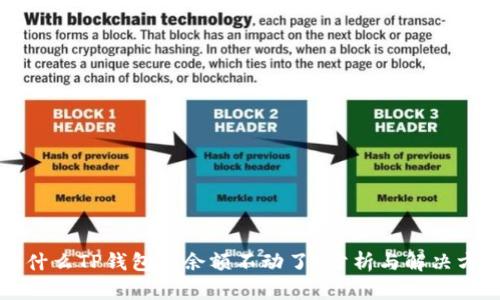 为什么TP钱包的余额不动了？分析与解决方案