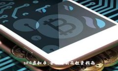 sPG虚拟币：全面解析及投资指南