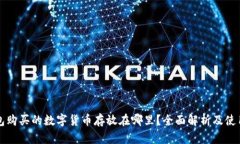 TP钱包购买的数字货币存放在哪里？全面解析及使