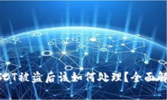 当TP钱包的USDT被盗后该如何处理？全面解析和应