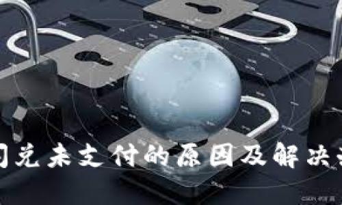 TP钱包闪兑未支付的原因及解决办法详解