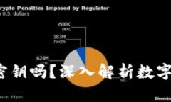 : t p钱包收款码是密钥吗？深入解析数字钱包的安