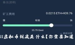 香港Doll虚拟币到底是什么？你需要知道的一切！