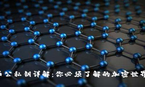 虚拟币公私钥详解：你必须了解的加密世界密码！