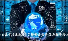 什么是QLB虚拟币？了解背后的价值与投资潜力！
