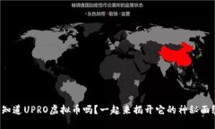 你知道UPRO虚拟币吗？一起来揭开它的神秘面纱！