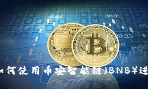 TP钱包如何使用币安智能链（BNB）进行交易？