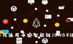 TP钱包如何使用币安智能链（BNB）进行交易？