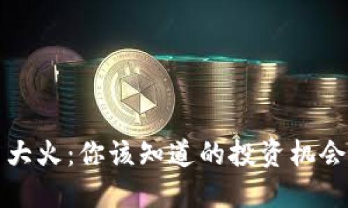 虚拟币大火：你该知道的投资机会与风险