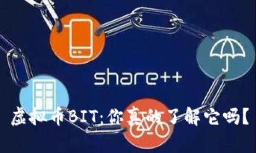 虚拟币BIT：你真的了解它吗？