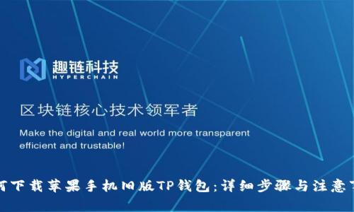 如何下载苹果手机旧版TP钱包：详细步骤与注意事项