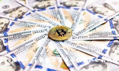 BYB虚拟币：了解数字货币的投资机会与风险