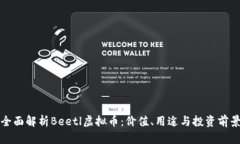 全面解析Beetl虚拟币：价值、用途与投资前景