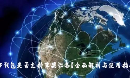 TP钱包是否支持苹果设备？全面解析与使用指南
